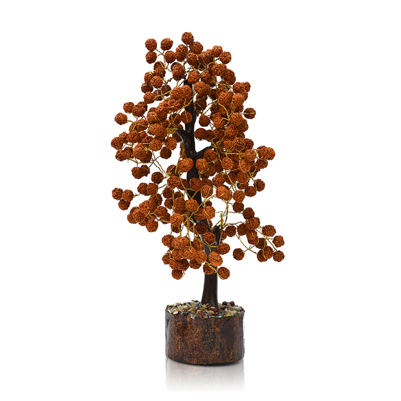Rudraksha Tree