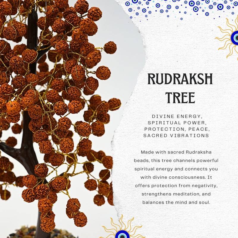 Rudraksha Tree
