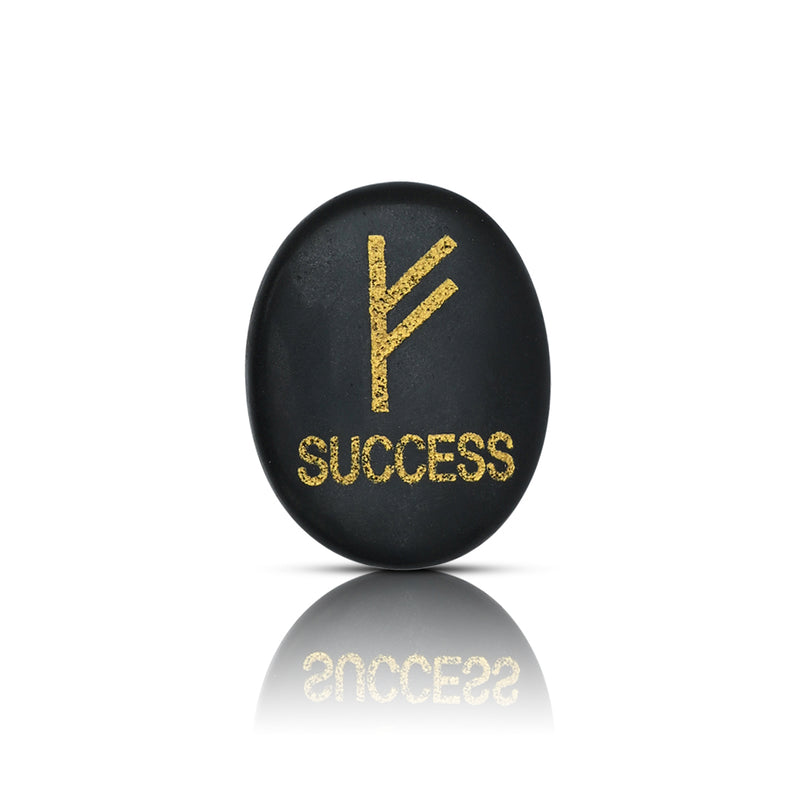 Black Tourmaline Success Coin