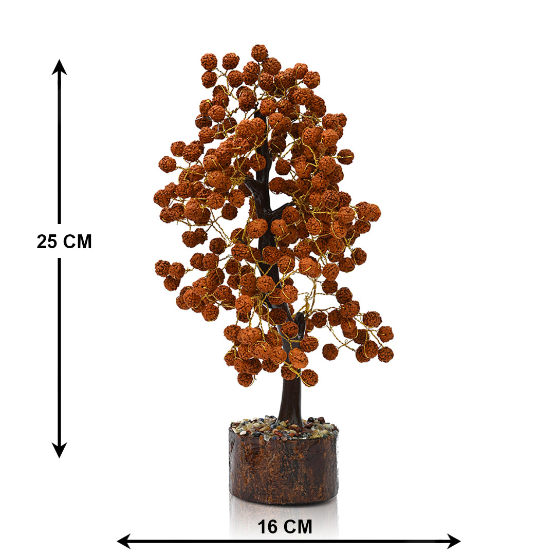 Rudraksha Tree