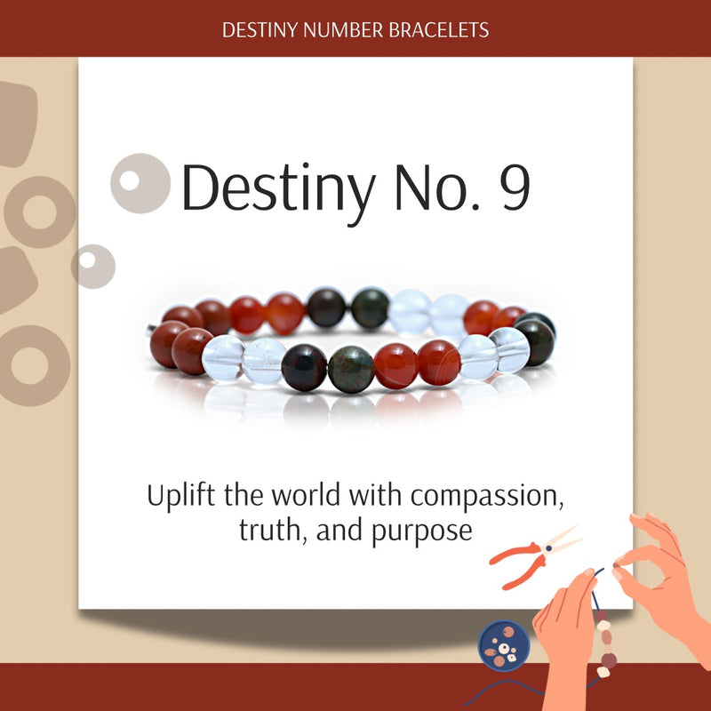 Destiny Number 9