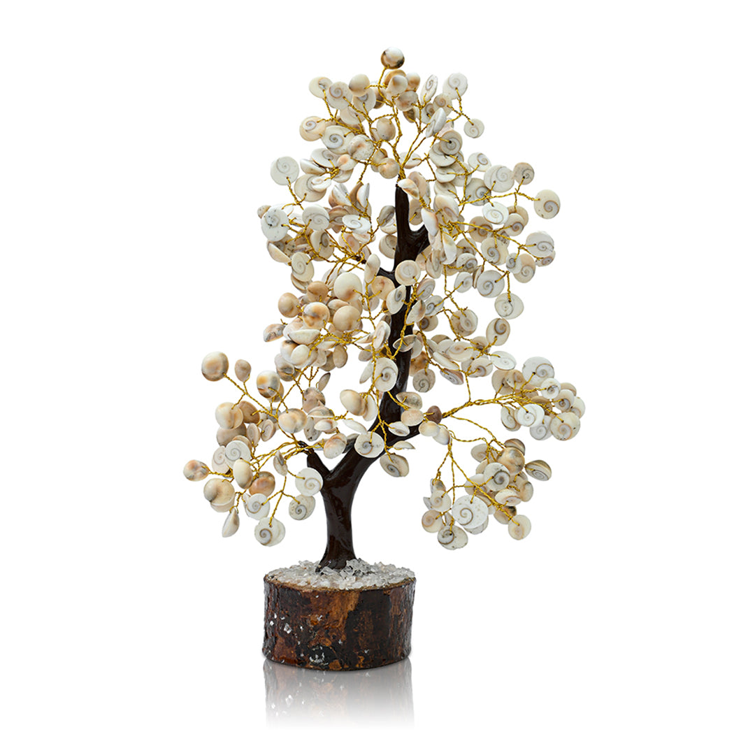 Gomti Chakra Tree