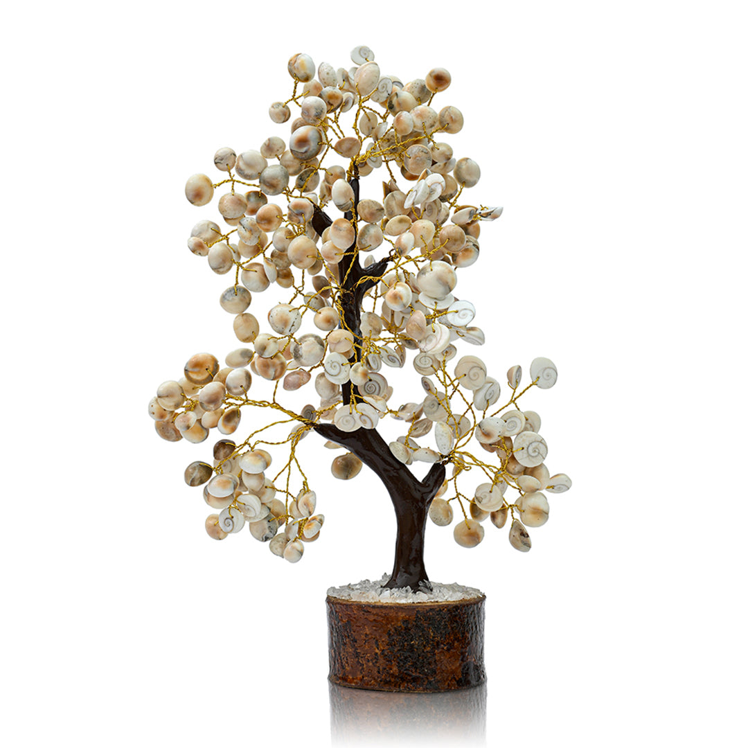 Gomti Chakra Tree