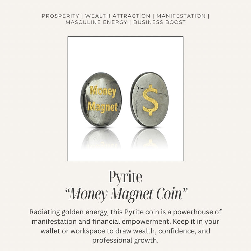 Pyrite money magnet coin