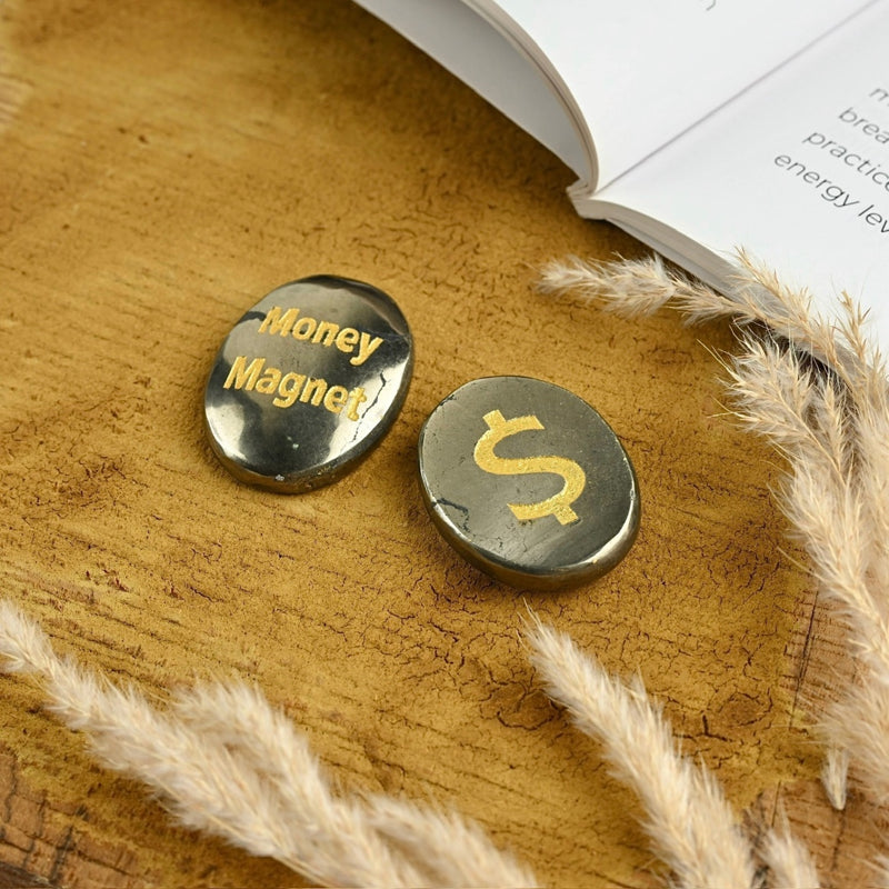 Pyrite money magnet coin