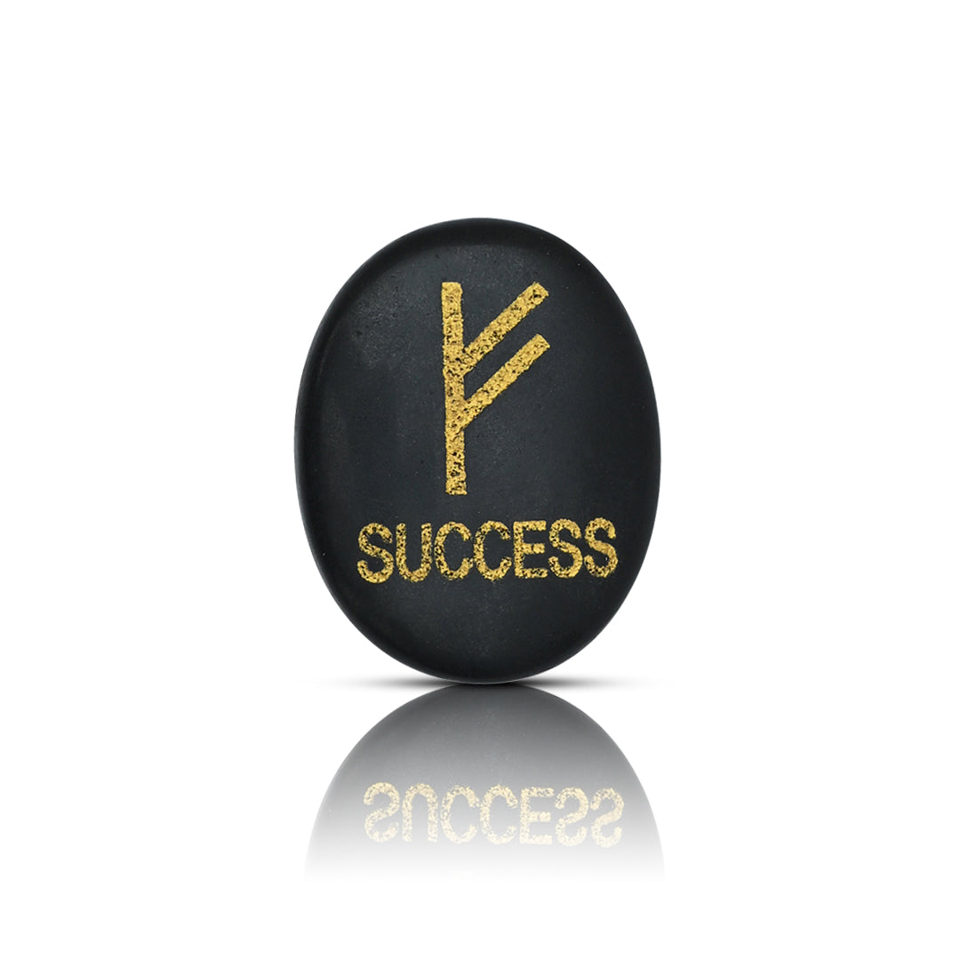 Black Tourmaline Success Coin